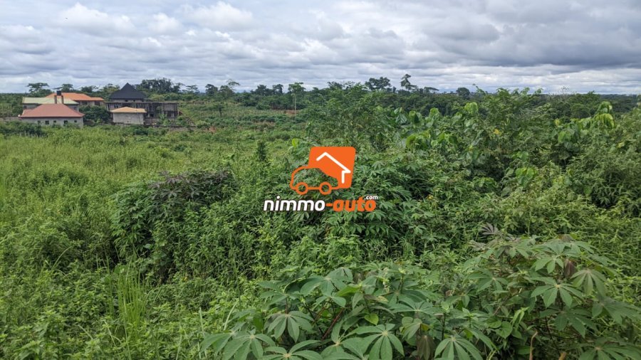 Terrain à vendre a Nkozoa plus précisément a entré lycée  1000 M2