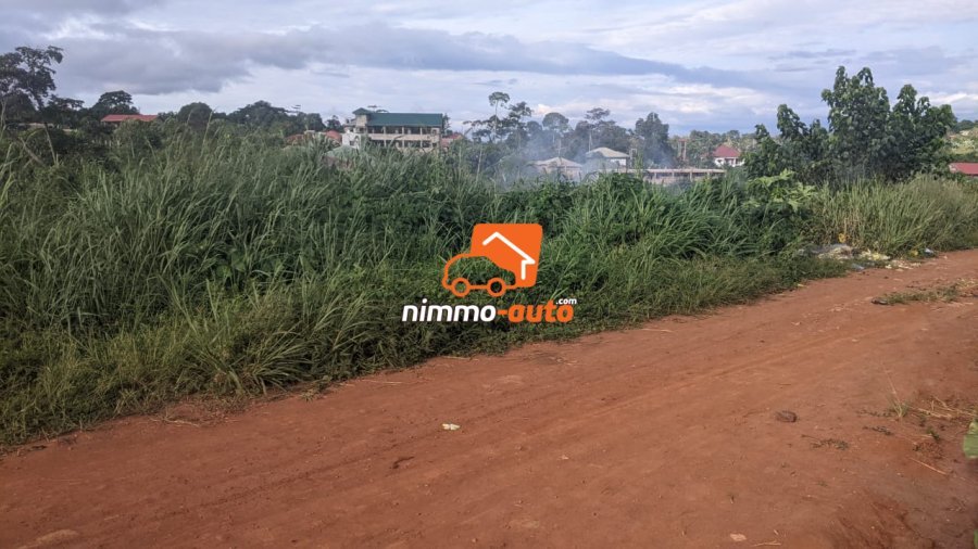 Terrain Titré à vendre a Yaoundé - Nyom passant par le dispensaire Messassi