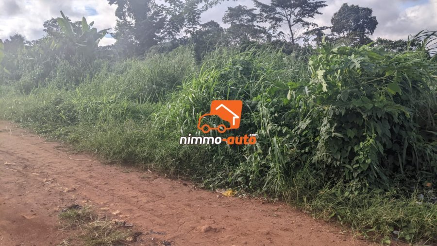 Terrain Titré à vendre a Yaoundé - Nyom passant par le dispensaire Messassi