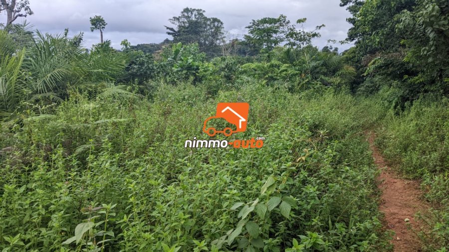Terrain a vendre a Afanayo 2000 M2