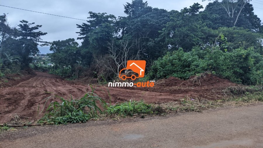 Terrain a vendre a Afanoya 9 hectares