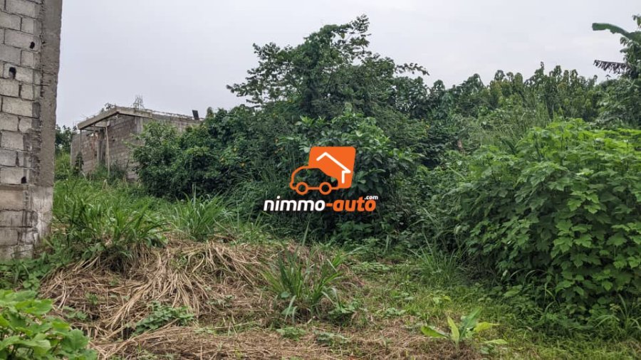 Terrain a Vendre a Toutouli