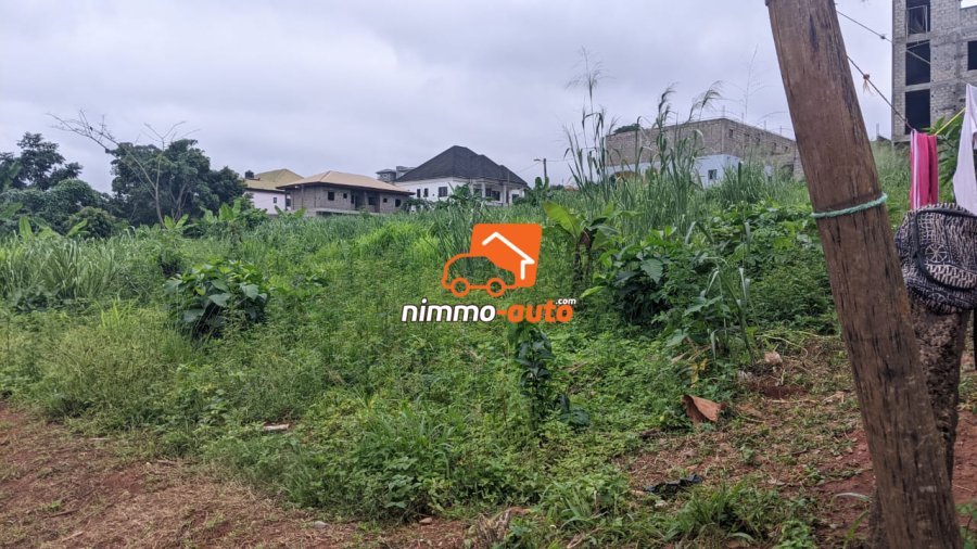 Terrain a vendre a Meyo avec 01 seul signataire  4000m2