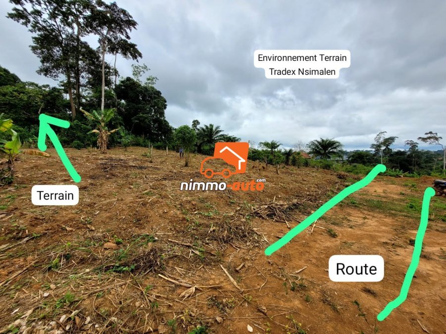 Terrain Titré de 5.000m² Morcelable à vendre à Nsimalen