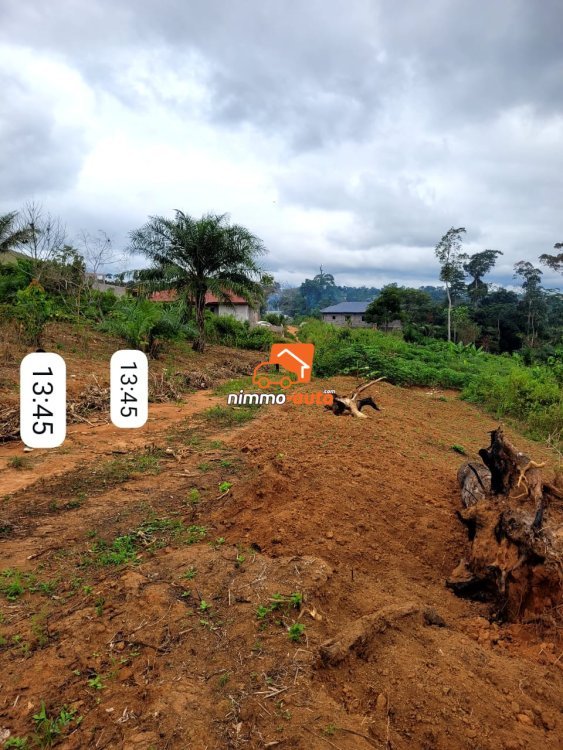 Terrain Titré de 5.000m² Morcelable à vendre à Nsimalen