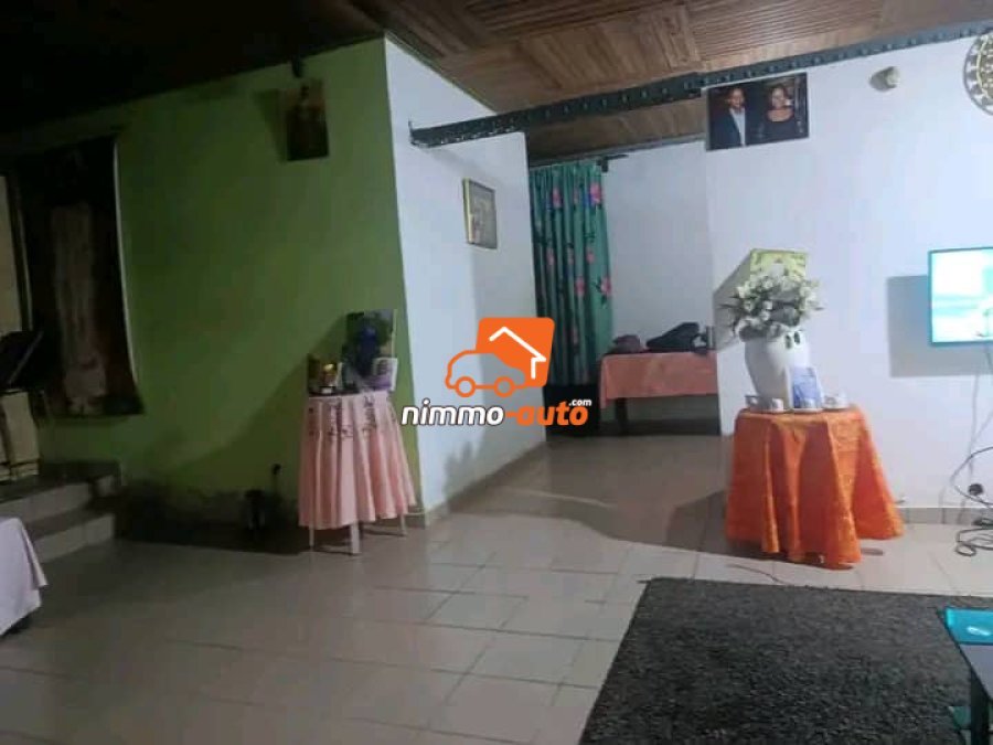 MAGNIFIQUE  VILLA  A VENDRE A DOUALA BEEDI