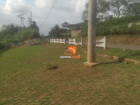 Immense domaine à vendre à Mvan