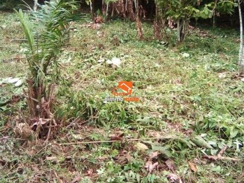 TERRAIN A VENDRE A KRIBI