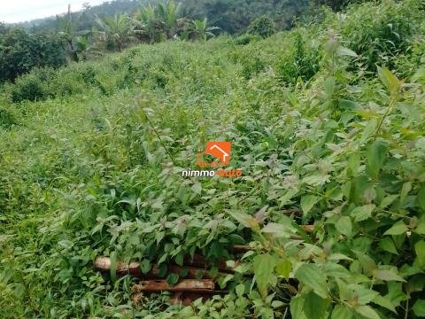 terrain  à vendre à soa en bordure de route
