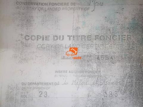 terrain titré à vendre à odza fecafoot