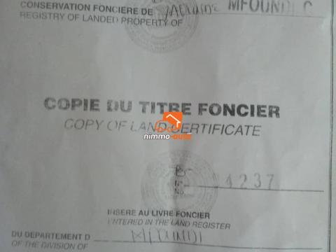 Terrain à vendre à Yaoundé Nsimeyong