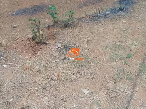 Terrain à vendre à OBOBOGO