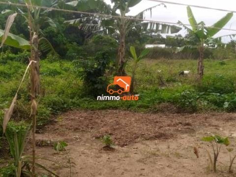200m² de Terrain non Titré à vendre à Odza