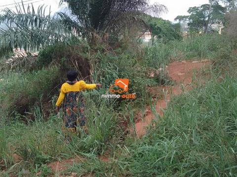 Terrain à vendre à Nkolbison