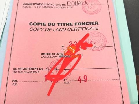 terrain sec et plat  à vendre  à yassa