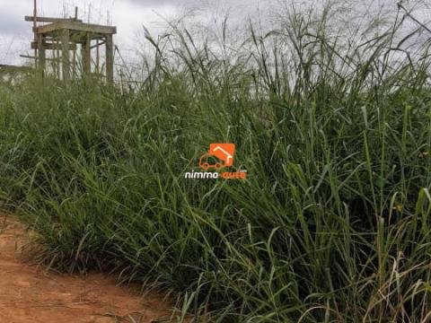 terrain à vendre à odza