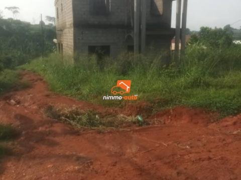 2000 m² de Terrain Titré en Lots de 500m² à vendre à Ahala