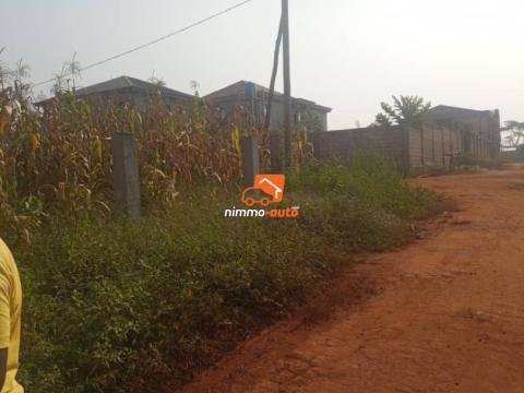 Terrain à vendre Odza Plaque L and B