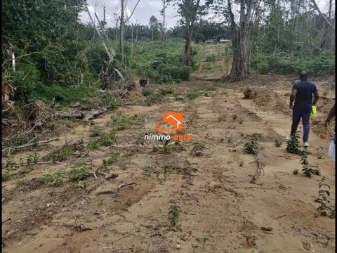 Terrain à vendre à la Dibamba