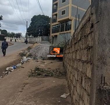 terrain a vendre maison blanche