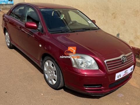 toyota avensis tete de cochon