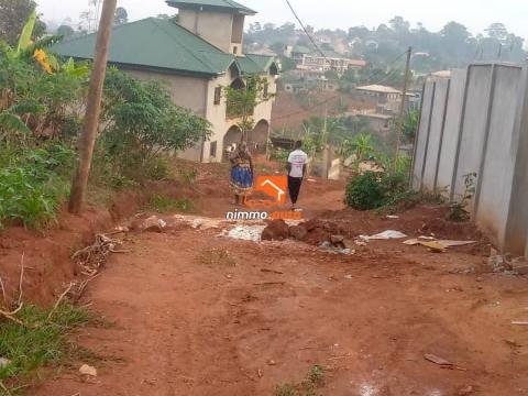 Terrain à vendre à SIMBOCK