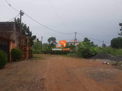 Terrain à vendre Japoma