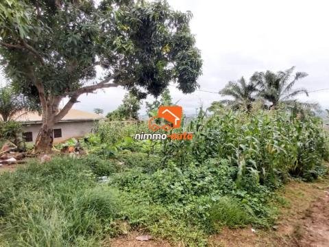Vaste Terrain de 1.000m² à vendre à Mbalgong