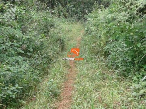 Terrain a vendre a ELAT par Awae village