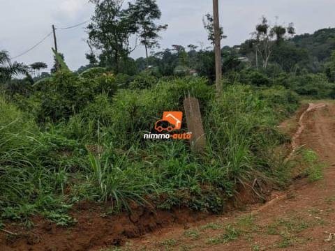 terrain à vendre au quartier Nkolnda bien situé (proche d'Odza)
