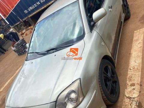 Avensic tête de cochon 2005