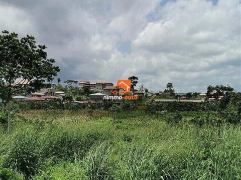 Terrain a vendre a nkolnda odza lieu dit mbeloa