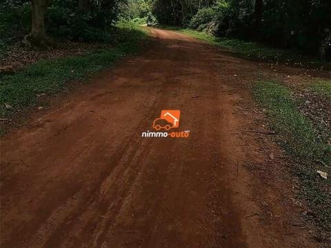 Terrain titré et loti à vendre a biteng