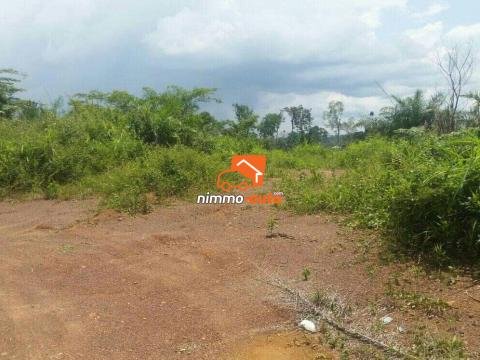 Terrain a vendre à mfou