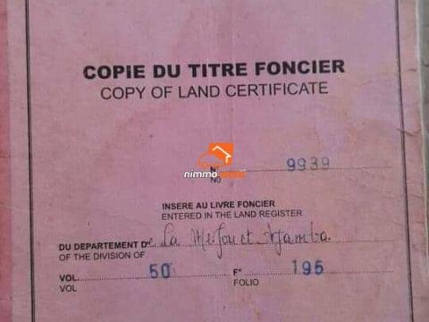 Terrain a vendre à mfou au quartier enieg