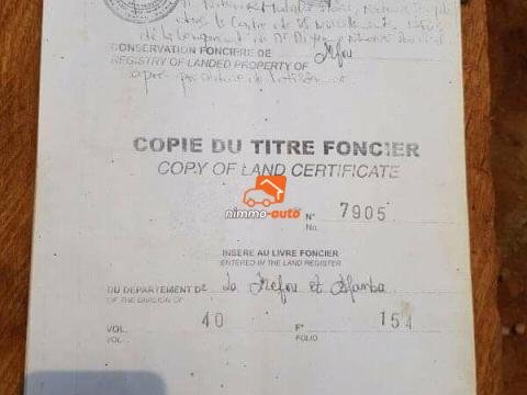 Terrain titré et loti à vendre a ebang