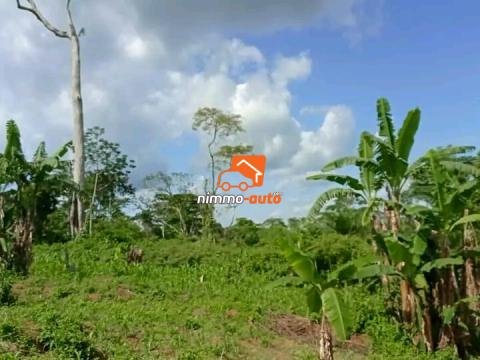 Terrain a vendre sur la route de mfou