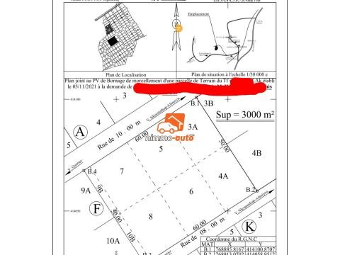 Terrain titré à vendre à Yaoundé - Nkoumadzap à Cimencam
