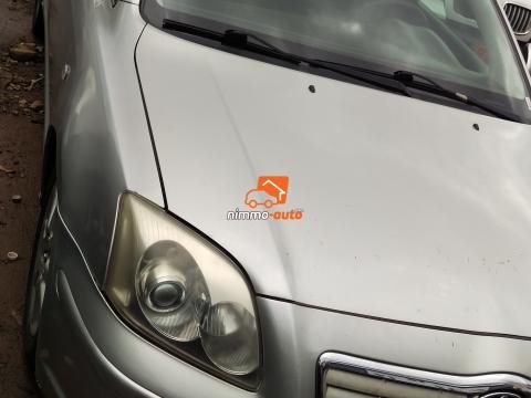 Avensis tête de cochon