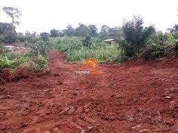 Terrain à vendre à Soa fin goudron