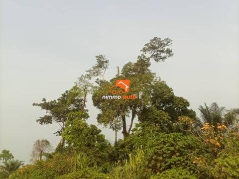 Terrain a vendre au centre administratif de la ville soa