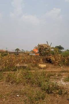 Terrain commercial à vendre à Ekounou