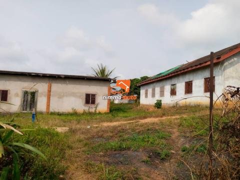 Terrain titré de plusieurs lots de 500m2 a vendre a eloumden2 pres de l'orphelinat de roger milla