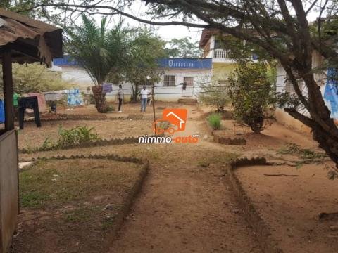 Terrain à vendre au terminus Odza