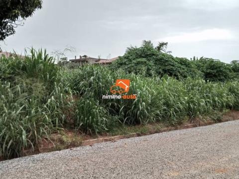 Terrain à vendre à odza fecafoot