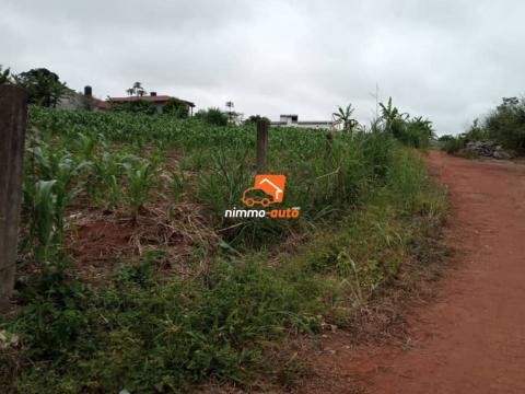 Terrain titré à vendre à Nkolnda