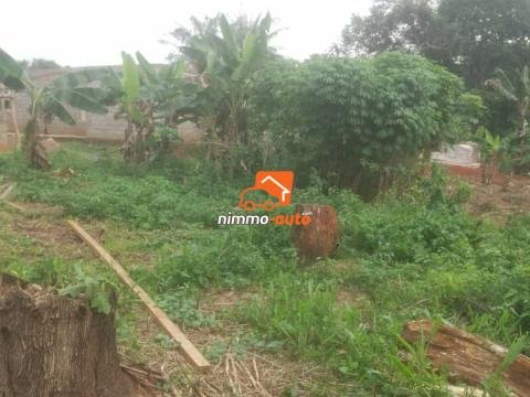 Terrain titré à vendre afan oyoa