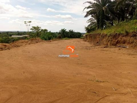 Terrain à vendre à Dibamba (Missile 1)