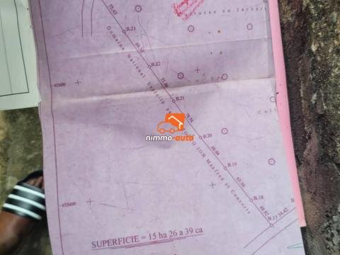 Terrain titré à vendre à Bekoko Douala