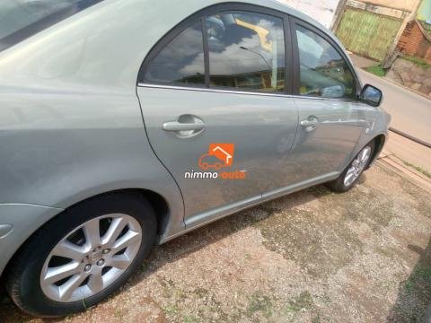 Avensis tête de cochon à vendre